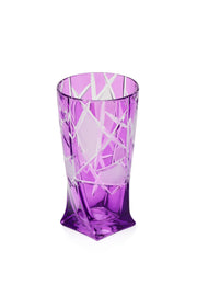 ELSA CRYSTAL Bohemia Icebelle Quadro Meşrubat Bardağı Mor
