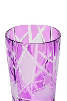 ELSA CRYSTAL Bohemia Icebelle Quadro Meşrubat Bardağı Mor