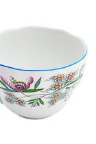 CESKY PORCELAN DUBİ 1860 Cibulak Fincan ve Fincan Tabağı Renkli
