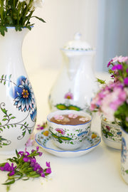 CESKY PORCELAN DUBİ 1860 Cibulak Kahve Sürahisi Renkli