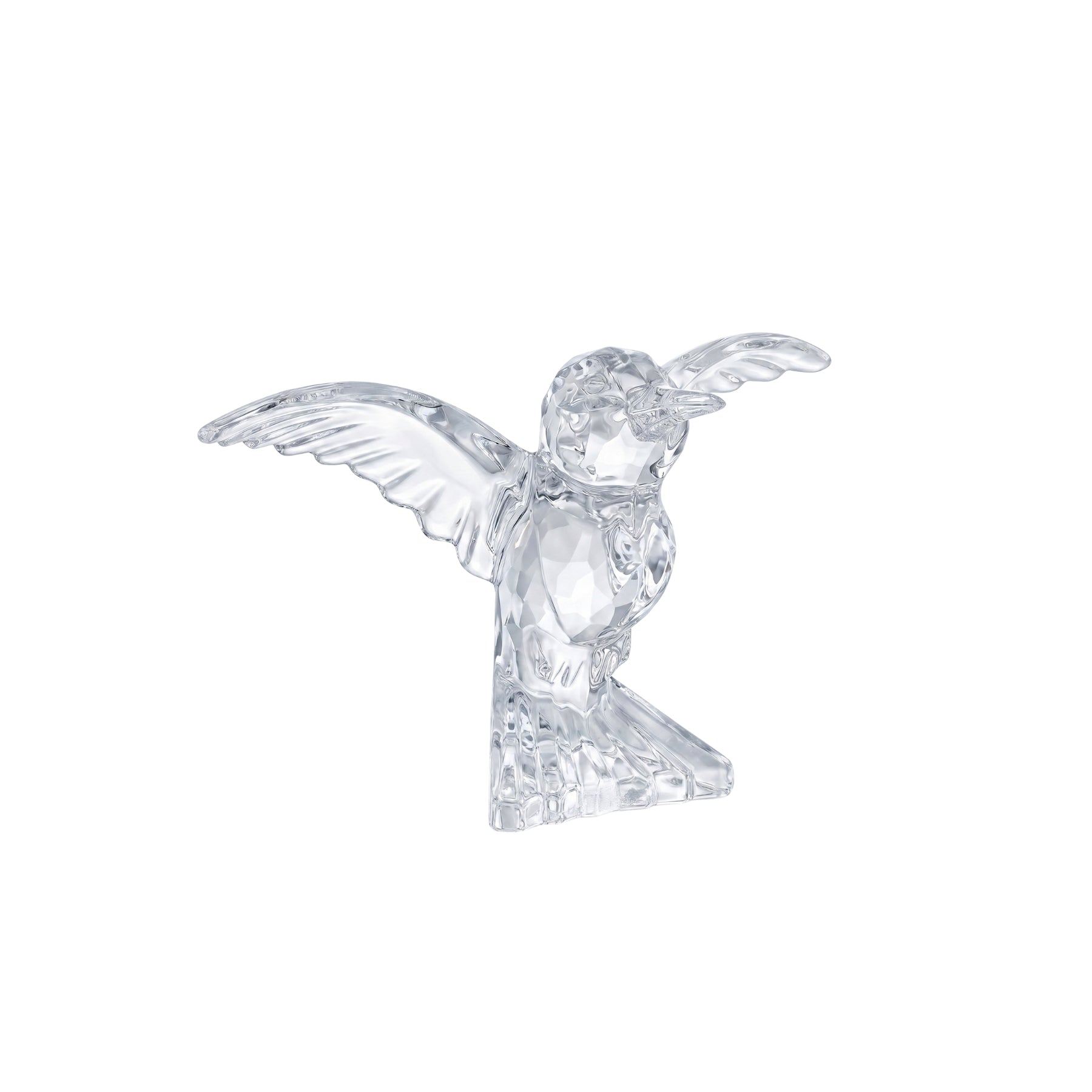 Elsa Crystal Aqarine Kuş Aksesuar