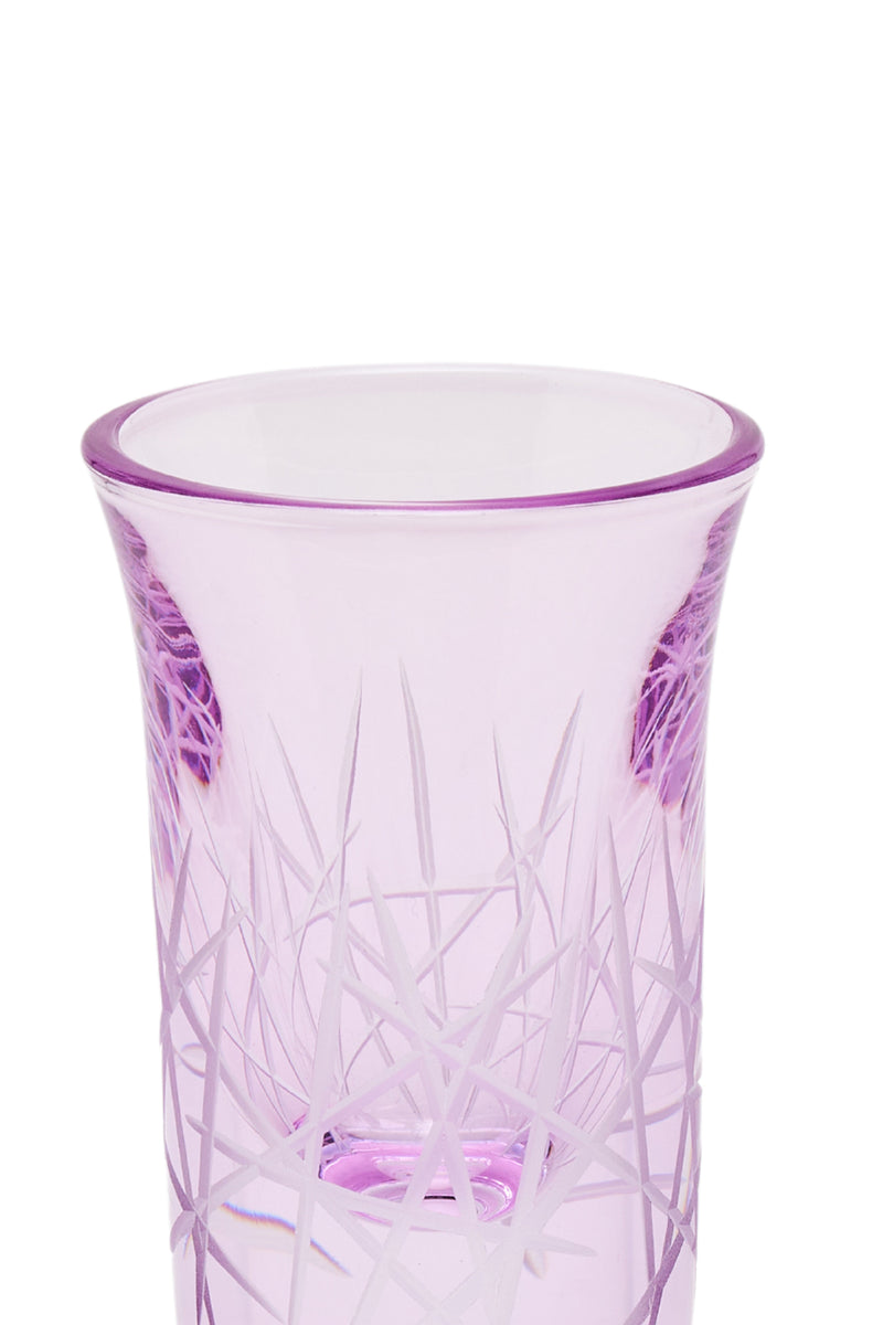 ELSA CRYSTAL Bohemia Alya Kahve Yanı Bardağı Mor
