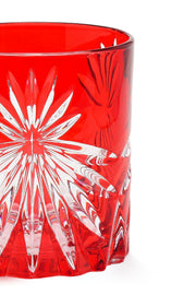 ELSA CRYSTAL Bohemia Laguna Oasis Odlivka Bardağı Pembe