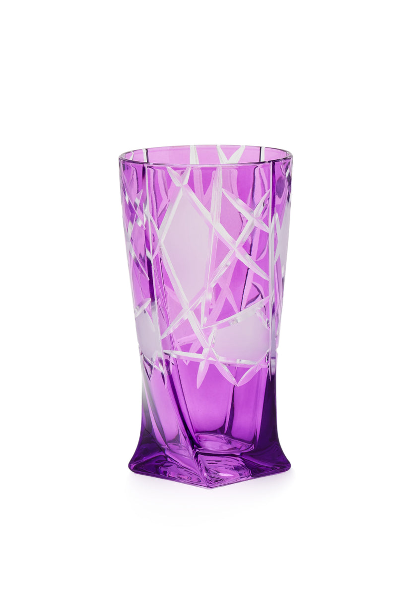 ELSA CRYSTAL Bohemia Icebelle Quadro Meşrubat Bardağı Mor
